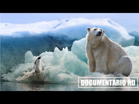 DOCUMENTÁRIO HD: DESBRAVANDO A ANTÁRTICA