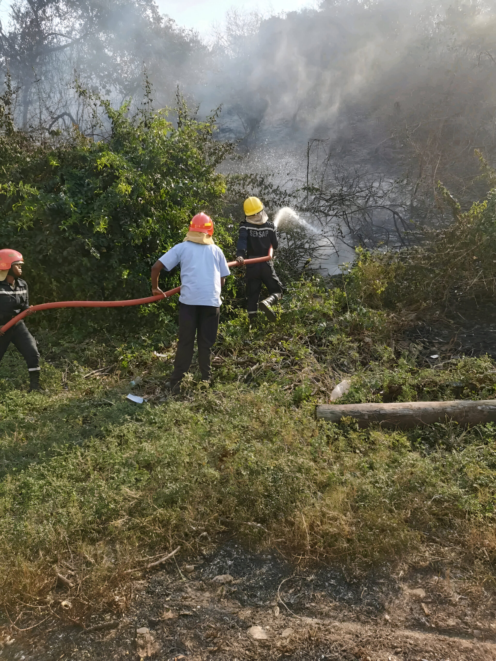 Fogo em Série em Gaza: Chamas Destruíram Estâncias Turísticas e Alarmam Comunidade