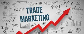 Associado de Trade Marketing – Faça a Diferença em Nampula!