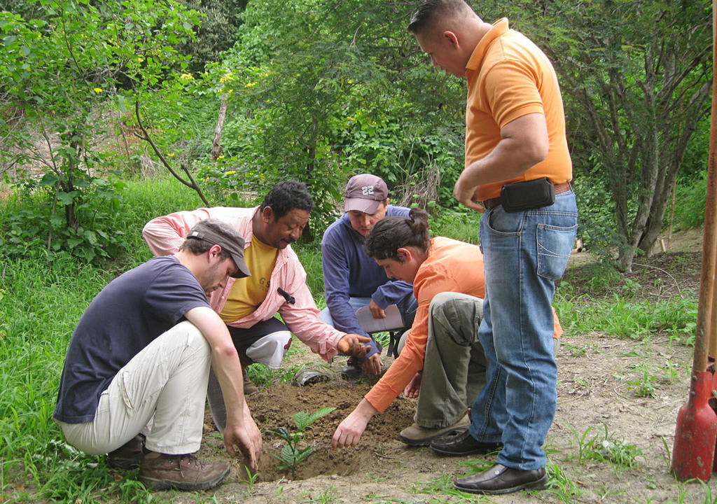 Voluntário Comunitário – Transforme Vidas com a FDS na Zambézia!