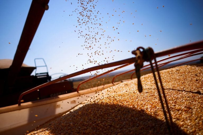 Brasil Inicia Temporada de Exportação de Milho com Desafios: Logística, Custos e Competitividade Global
