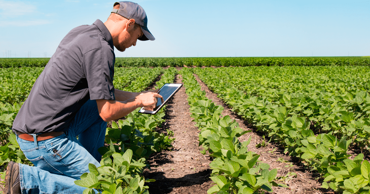 Estágio Remunerado para Técnicos Agropecuários – Transforme o Campo em Moçambique!